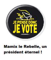 Logo du parti Rebelle Store