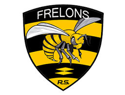 Logo du parti Les Frelons