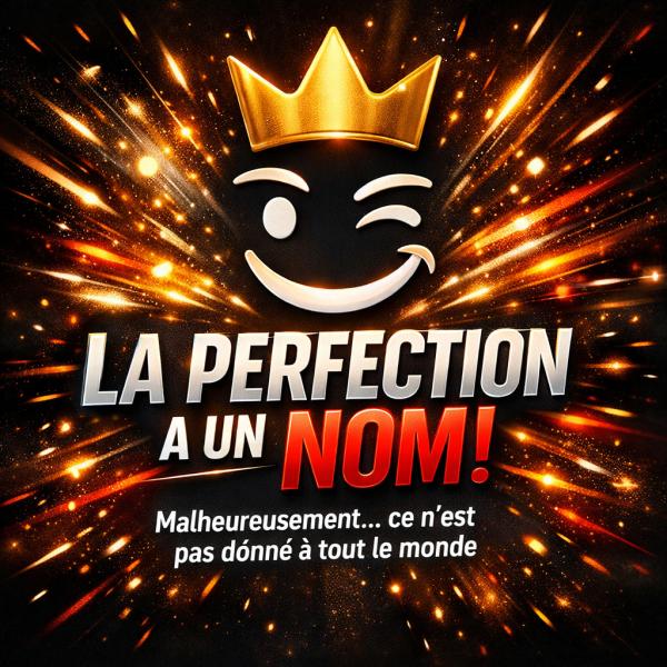 Logo du parti La Perfection a un NOM !