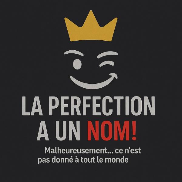 Logo du parti La Perfection a un NOM !