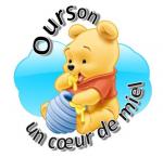 avatar oursin